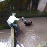 Aullido de un perro que cayó a un río alertó a la Policía, que logró rescatarlo