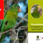 Distrito presenta campaña para la protección de la fauna silvestre y los animales de compañía