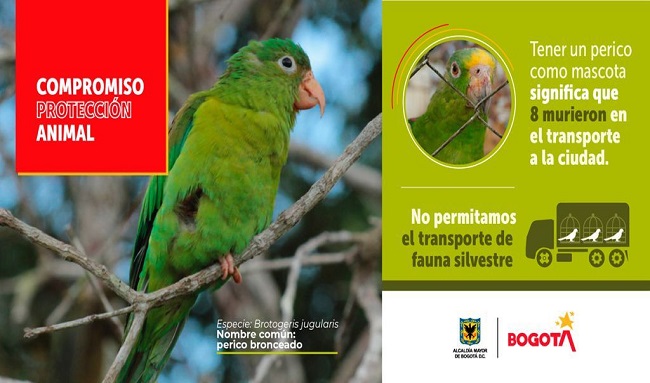 Distrito presenta campaña para la protección de la fauna silvestre y los animales de compañía