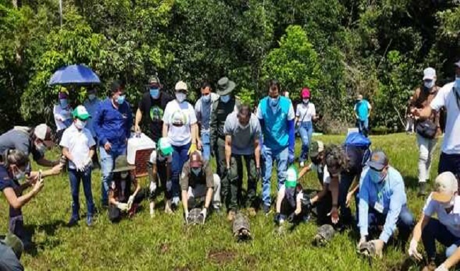 La Secretaría de Ambiente liberó a 15 animales silvestres en San Martín – Meta