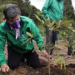 Alcaldesa Claudia López sembró el árbol número 100 mil de su administración