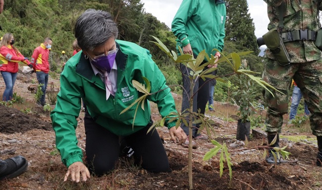 Alcaldesa Claudia López sembró el árbol número 100 mil de su administración
