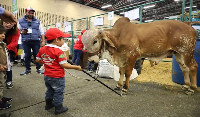 Inicio con éxito Agroexpo 2021 en Corferias, la feria más importante para el sector agropecuario