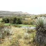 Hoy 9 de noviembre, Bogotá celebra el Día de los Parques Nacionales Naturales