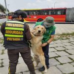 Distrito revisó estado de salud de perros de vigilancia en TransMilenio