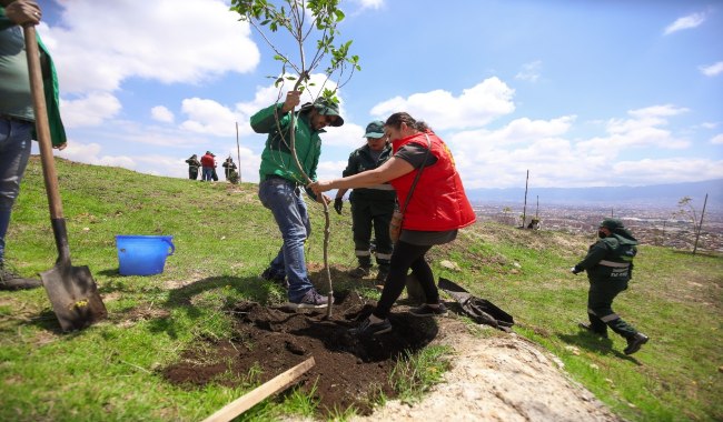 Jornada distrital de plantaciones para celebrar el Día Mundial del Árbol