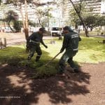 Distrito, Ejército Nacional y comunidad plantaron 120 árboles en parque Nacional