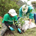 114 árboles plantados en Entrenubes, uno de los pulmones del suroriente de Bogotá