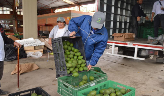 Agencia de comercialización de Cundinamarca comprará cosechas a los campesinos de 5 departamentos
