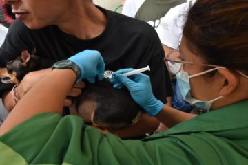 Alcaldía Local de Usaquén y Subred Norte realizarán jornada gratuita de vacunación para animales de compañía