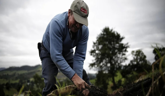 Gobernador anuncia inversión inicial de $20.000 millones para comprarles la cosecha directamente a los campesinos de Cundinamarca