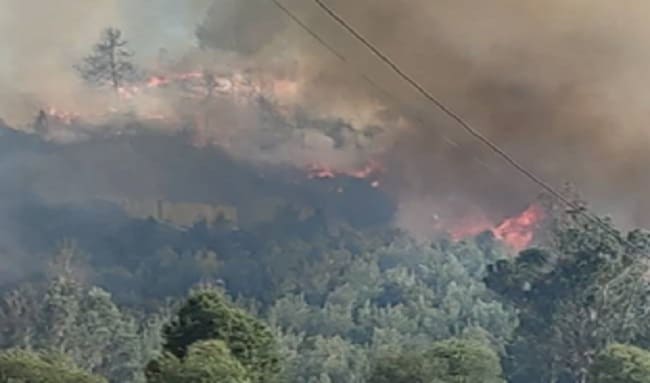 «Caos en Sopó: Incendio Forestal Desatado por Cables de Alta Tensión Despierta Preocupación y Desplazamientos Preventivos»