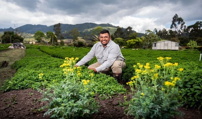 Más de 11.200 campesinos de Bogotá y Cundinamarca serán beneficiados por el nuevo Clúster