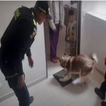 Policía verificó denuncia de presunto maltrato animal en Fontibón