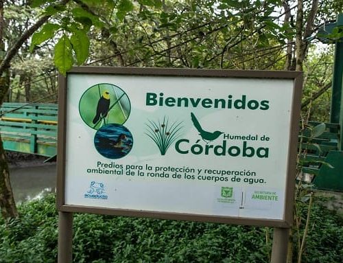 Humedal Córdoba, ahora más accesible ycon escenarios para la educación ambiental