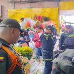 Más de 20 kilos de palma silvestre incautados en dos localidades de Bogotá