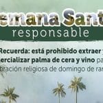 Distrito hace un llamado para proteger las palmas silvestres en Semana Santa 2024