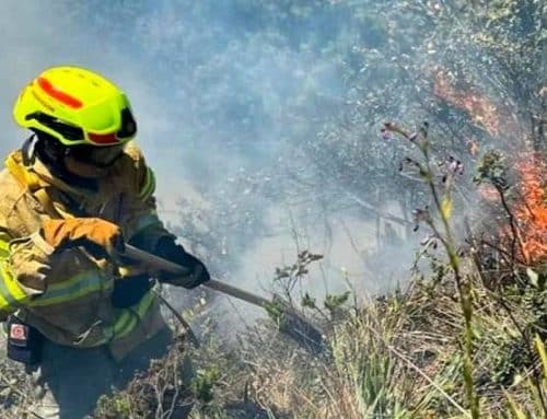 Bomberos de Bogotá se desplazan hacia los cerros para controlar incendio forestal