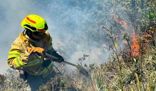 Bomberos de Bogotá se desplazan hacia los cerros para controlar incendio forestal