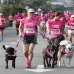 ¡Corre por la vida y la detección temprana del cáncer de mama!