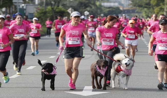 ¡Corre por la vida y la detección temprana del cáncer de mama!