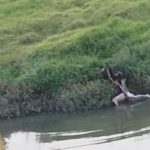 Encuentran cuerpo de joven con signos de violencia en río Bogotá