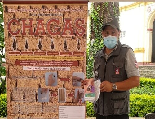 Avanza el proceso de certificación de interrupción de la transmisión de Chagas en Boyacá