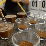 Se abre el telón para la élite cafetera: Inicia el concurso "Colombia Tierra de Diversidad"
