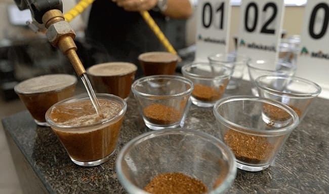Se abre el telón para la élite cafetera: Inicia el concurso "Colombia Tierra de Diversidad"