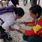 Vacune y desparasite a su gato y perro gratis en Suba