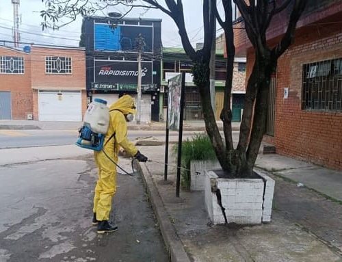 Distrito anuncia medidas de prevención en Bogotá para la leptospirosis