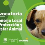 Abiertas las inscripciones al Consejo Local de Protección y Bienestar Animal