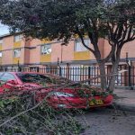 Árbol cae sobre vehículo tras fuertes vientos en Suba