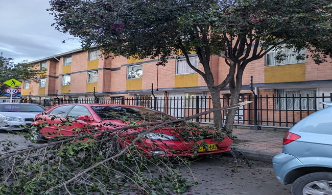 Árbol cae sobre vehículo tras fuertes vientos en Suba