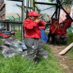 Humedal La Conejera: Un respiro para la biodiversidad gracias al operativo de la Alcaldía de Suba