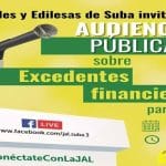 Participa en la audiencia pública sobre excedentes financieros de la JAL.