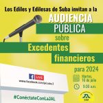 Ediles convocan a audiencia pública sobre excedentes financieros 2024: ¡Participa hoy mismo!