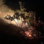 Incendio forestal en vereda Siberia, Carmen de Apicalá: autoridades intensifican esfuerzos para su control