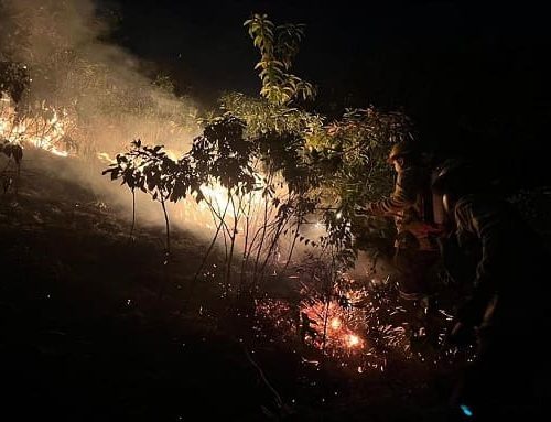 Incendio forestal en vereda Siberia, Carmen de Apicalá: autoridades intensifican esfuerzos para su control