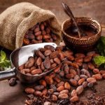 Ministerio de Agricultura lanza convocatoria para premios Cacao of Excellence