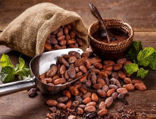 Ministerio de Agricultura lanza convocatoria para premios Cacao of Excellence