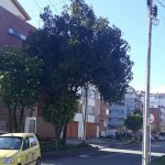 Preocupación en Pontevedra por hurto de celular y falta de seguridad