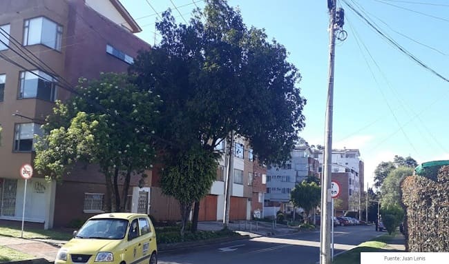 Preocupación en Pontevedra por hurto de celular y falta de seguridad