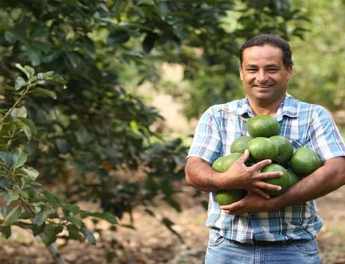 Programa de apoyo a insumos agropecuarios beneficia a 1.365 productores en Cundinamarca