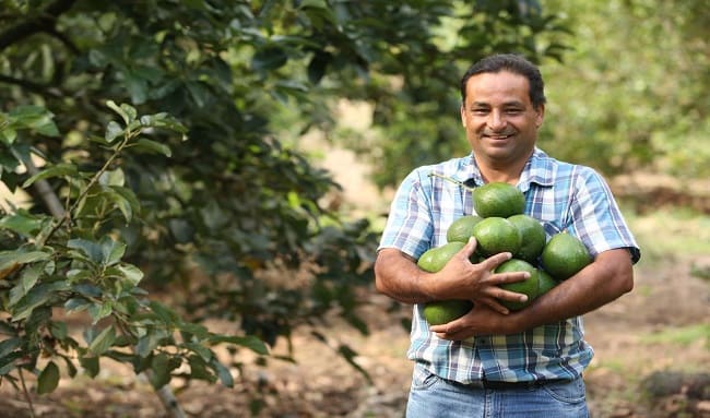 Programa de apoyo a insumos agropecuarios beneficia a 1.365 productores en Cundinamarca