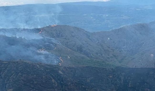 Gobernación del Huila coordina acciones de respuesta ante incendios en Palermo