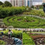 La jardinera de Suba renace con un homenaje a la cultura muisca