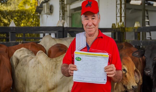 Gobernación de Cundinamarca impulsa la producción ganadera con entrega de ejemplares bovinos 