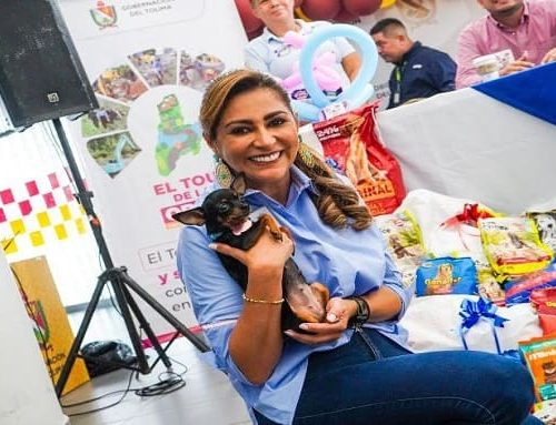 Gobernadora Matiz fija la ruta de compromisos con las fundaciones de protección y cuidado animal del Tolima