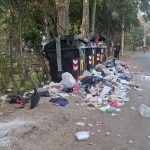 Vecinos de Puertas del Sol en Suba lidian con aumento de basura y plagas